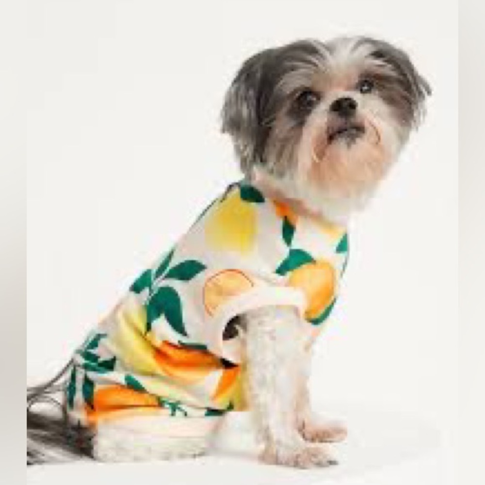 {3/$25} Dog Old Navy shirt lemon print tropical tee puppy summer small puppy